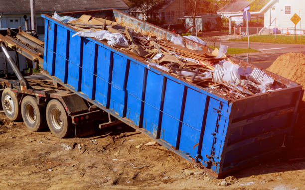 Shed Removal in Pine Valley, CA